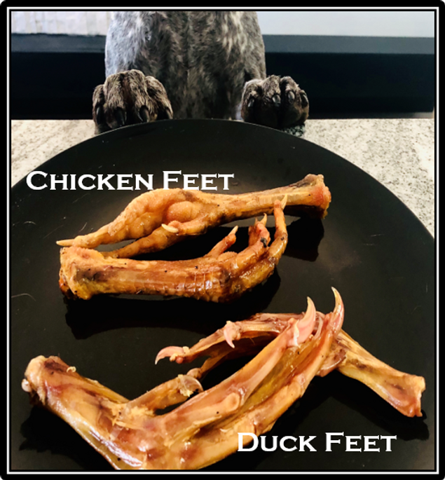 Dry Roasted Feet - Chicken or Duck