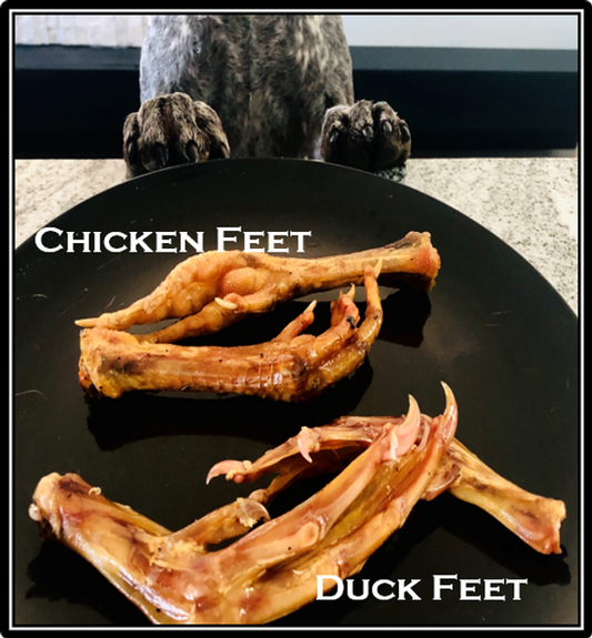 Dry Roasted Feet - Chicken or Duck
