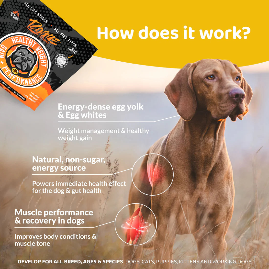 Rogue Pet Science Healthy Weight