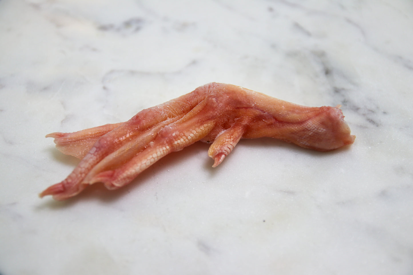 Raw Duck Feet - Whole Prey