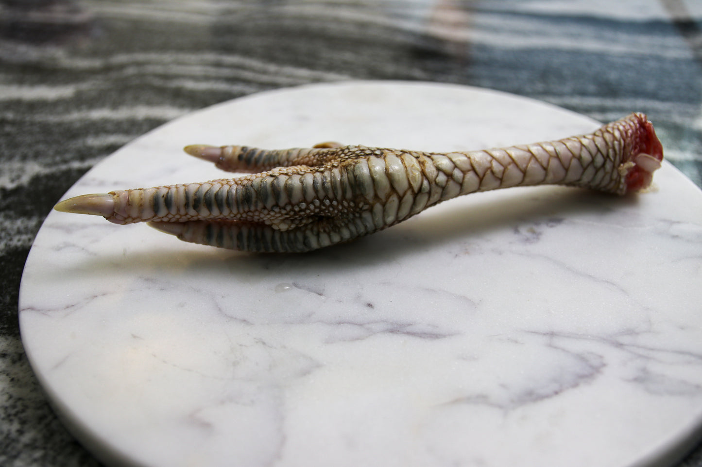 Raw Turkey Feet - Whole Prey