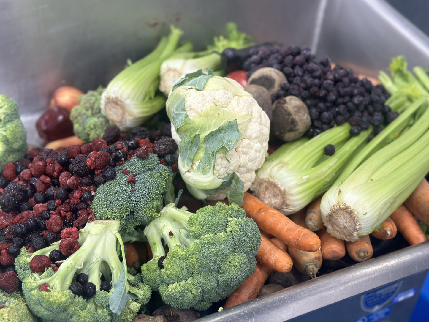 RAW FULL MEAL MAKER Whole Prey Feeding Supplement