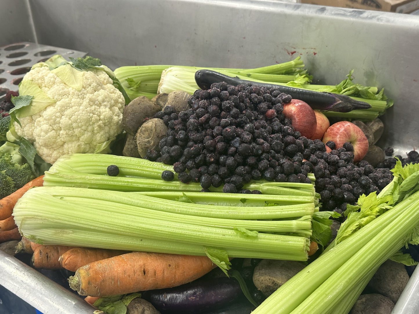 Raw Turkey, Duck, & Produce Blend