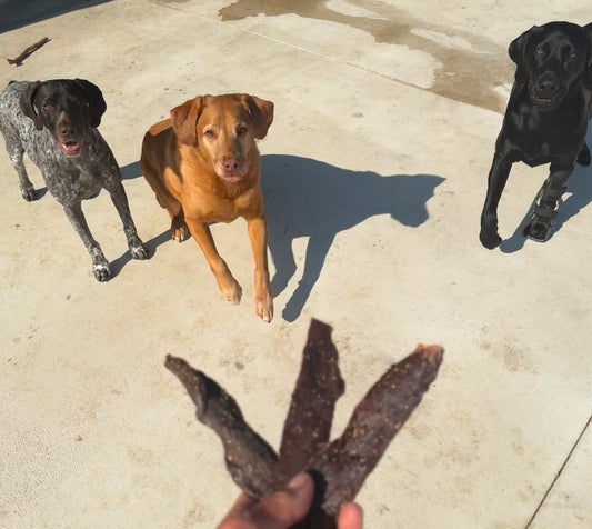 Beef Jerky