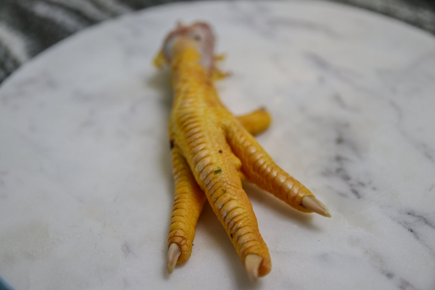 Raw Chicken Feet - Whole Prey