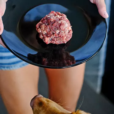 RAW Beef & Egg Recipe