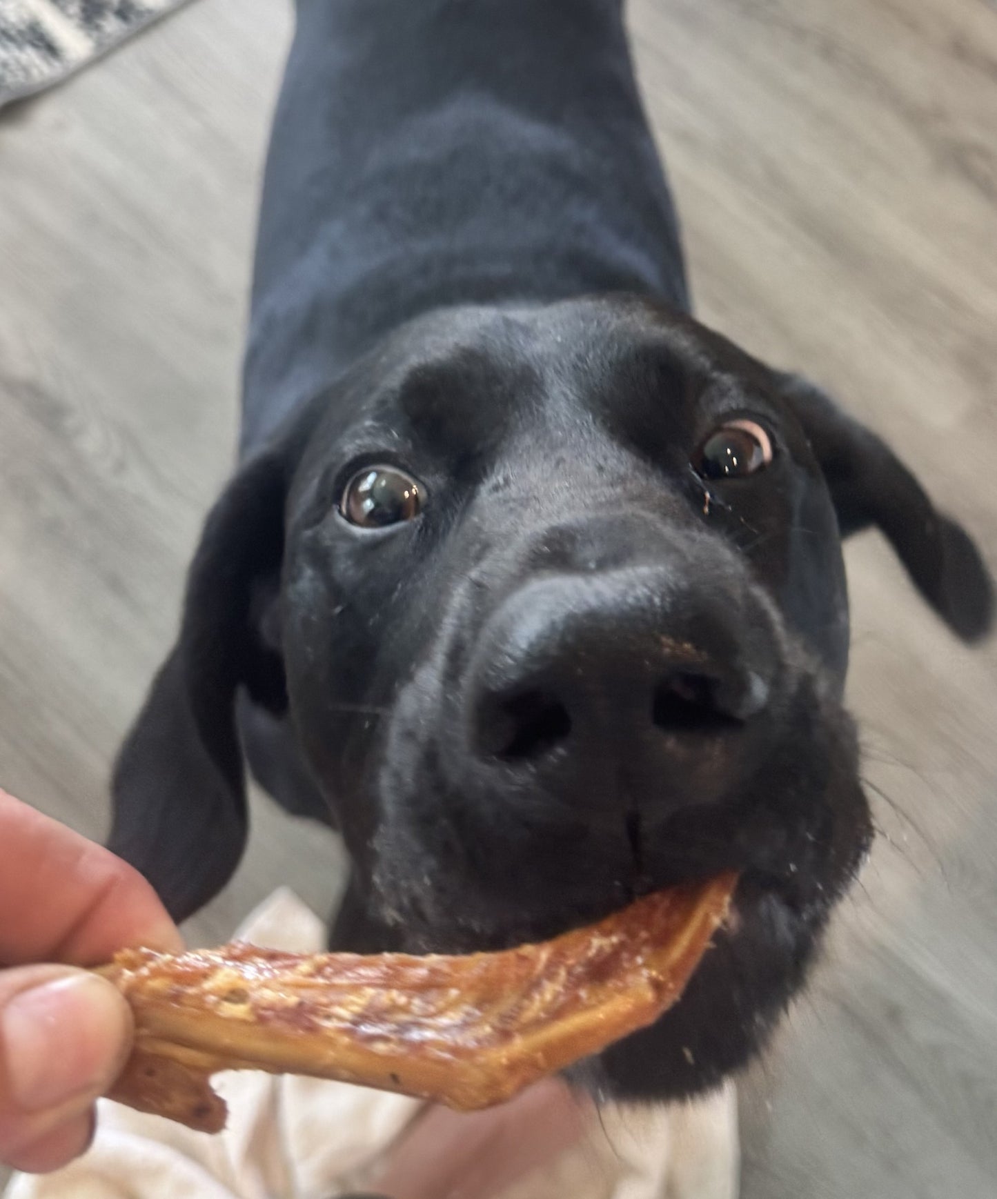Dry Roasted Duck Wing Tip