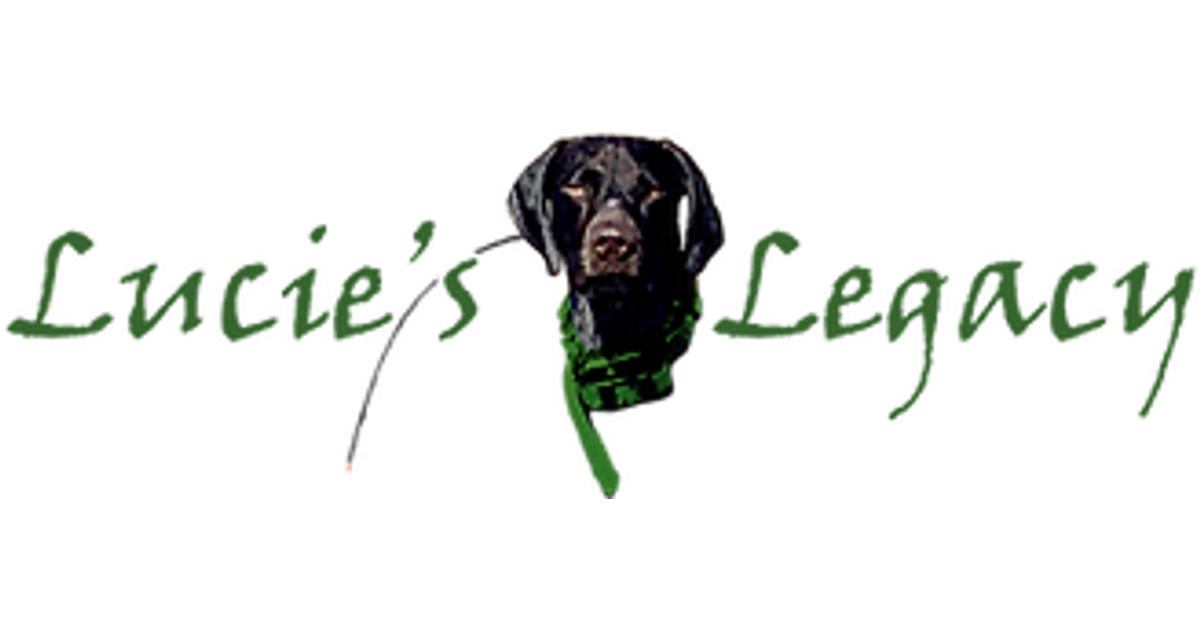 dried-snacks-lucie-s-legacy